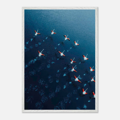 Aerial view of a flock of flamingos flying over deep blue waters in a vintage framed print.