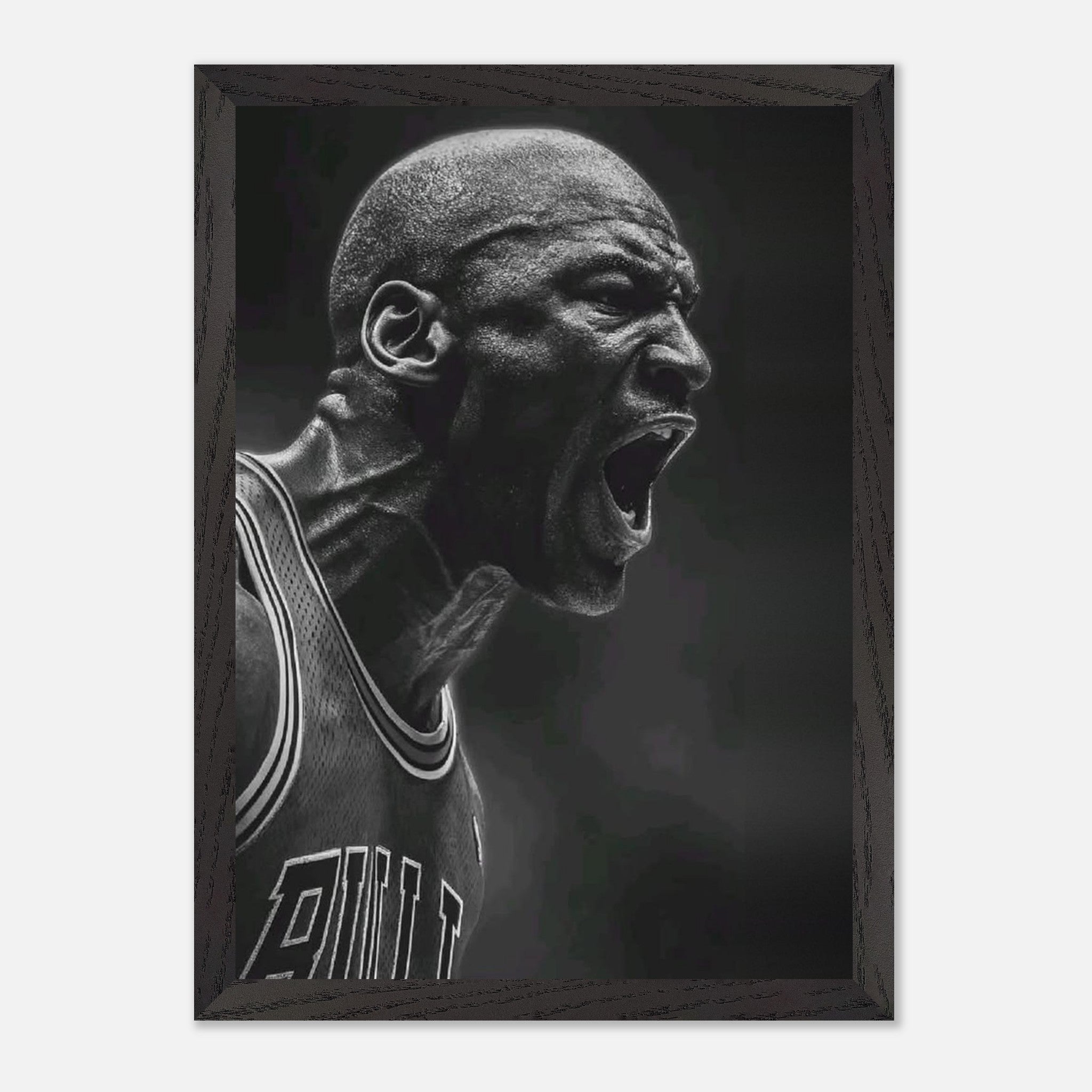 Michael Jordan Chicago Bulls