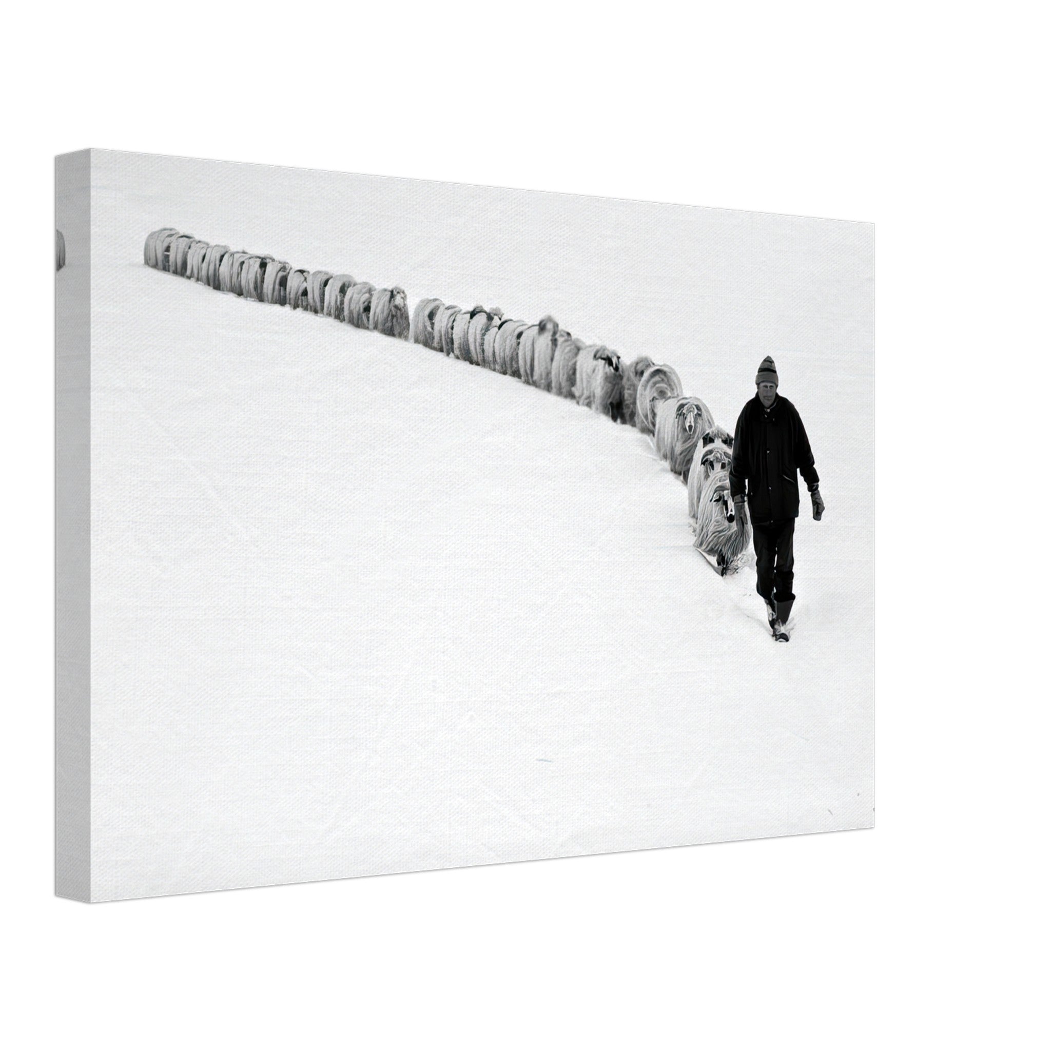 Black-and-white canvas print of a shepherd leading sheep through a serene snow-covered landscape.