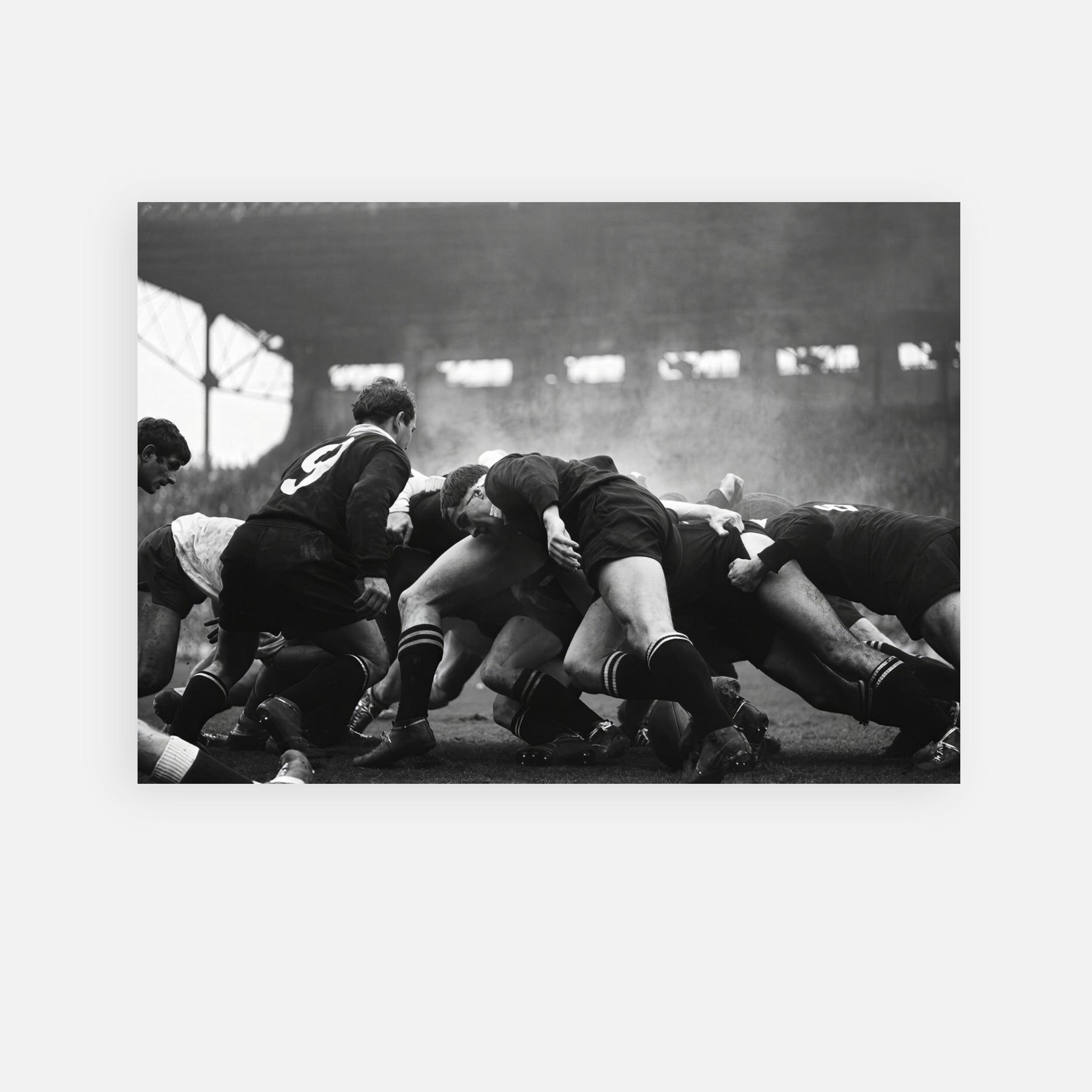 France vs New Zealand Rugby 1967