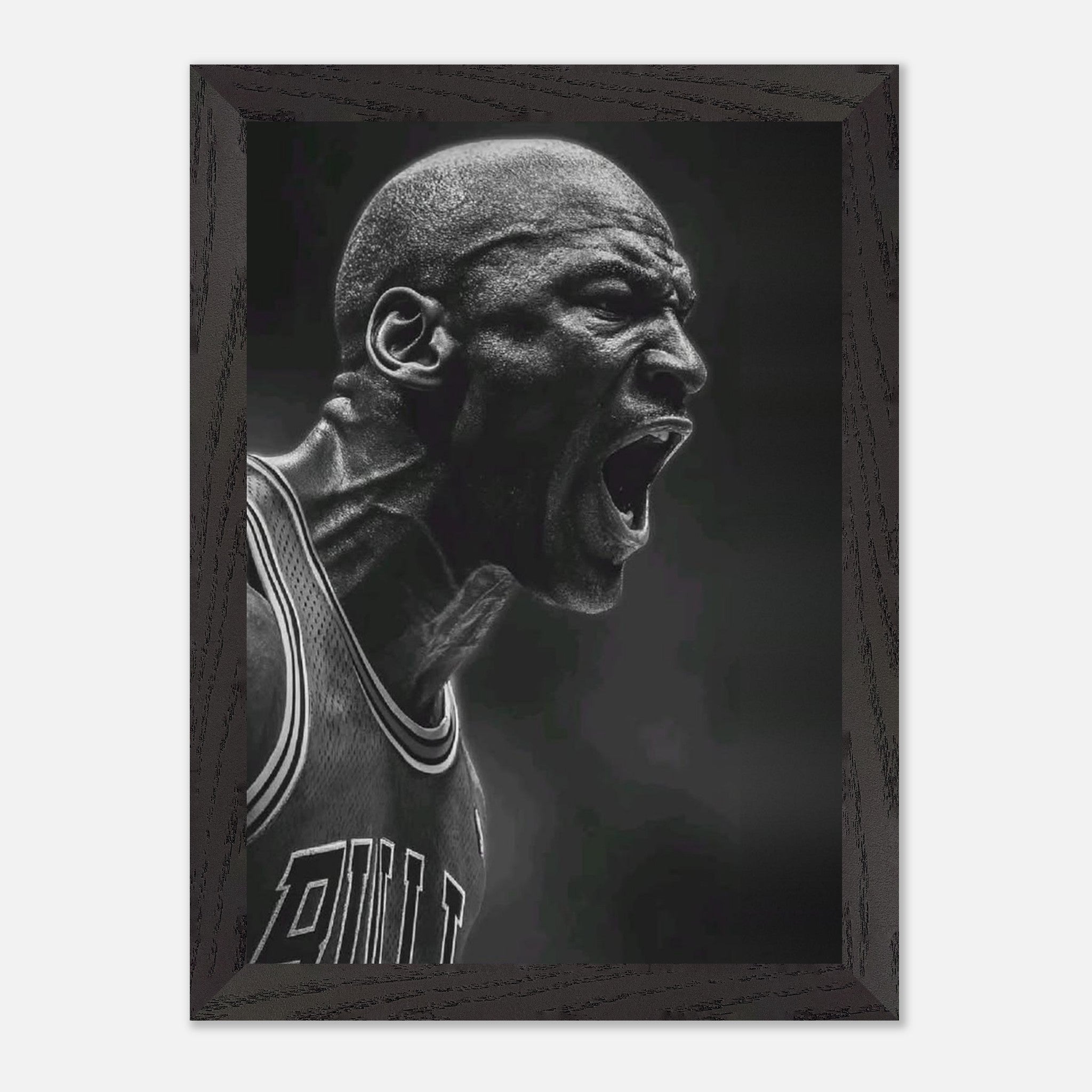 Michael Jordan Chicago Bulls