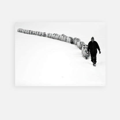 A shepherd guiding his flock through a serene, snowy landscape in a black-and-white photograph.