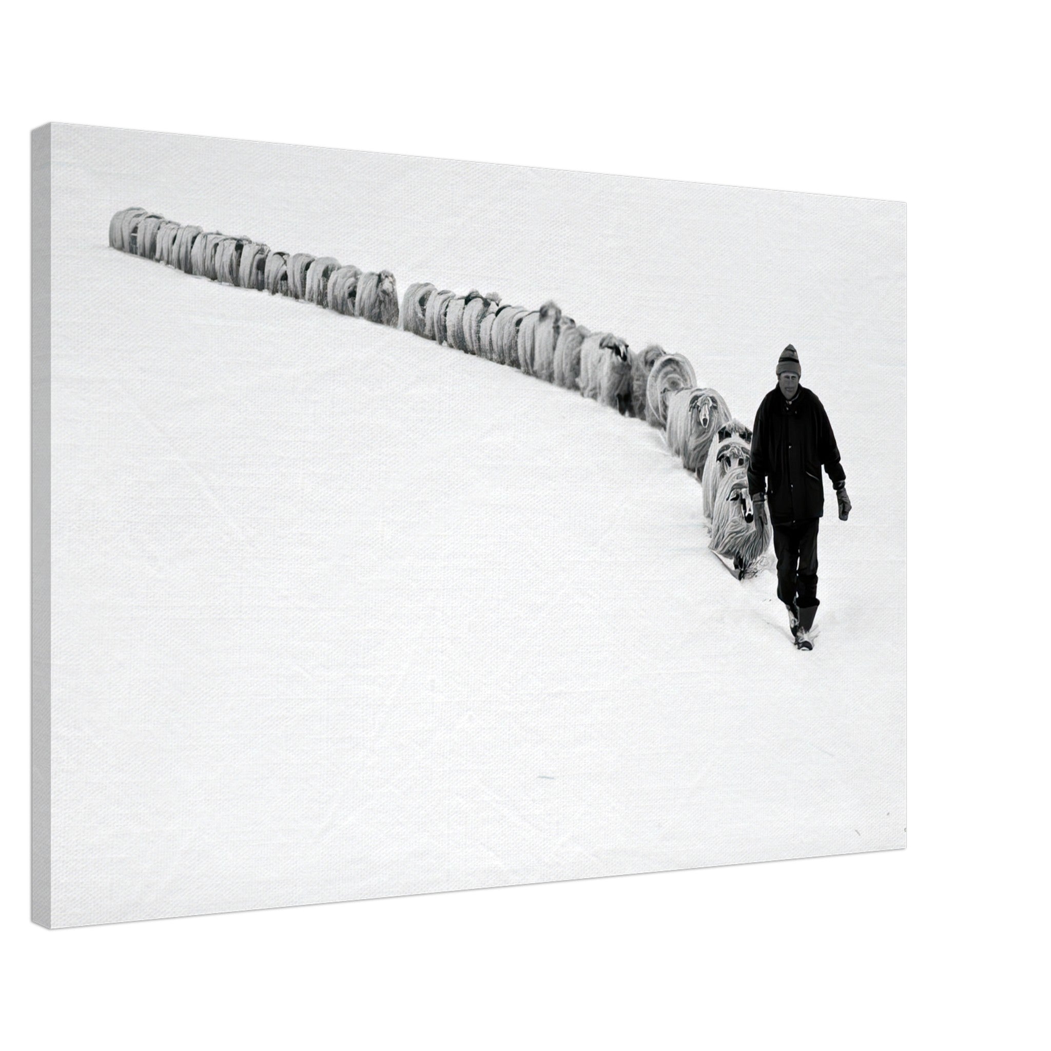 Black-and-white canvas print of a shepherd walking with his flock in a serene snow-covered landscape.