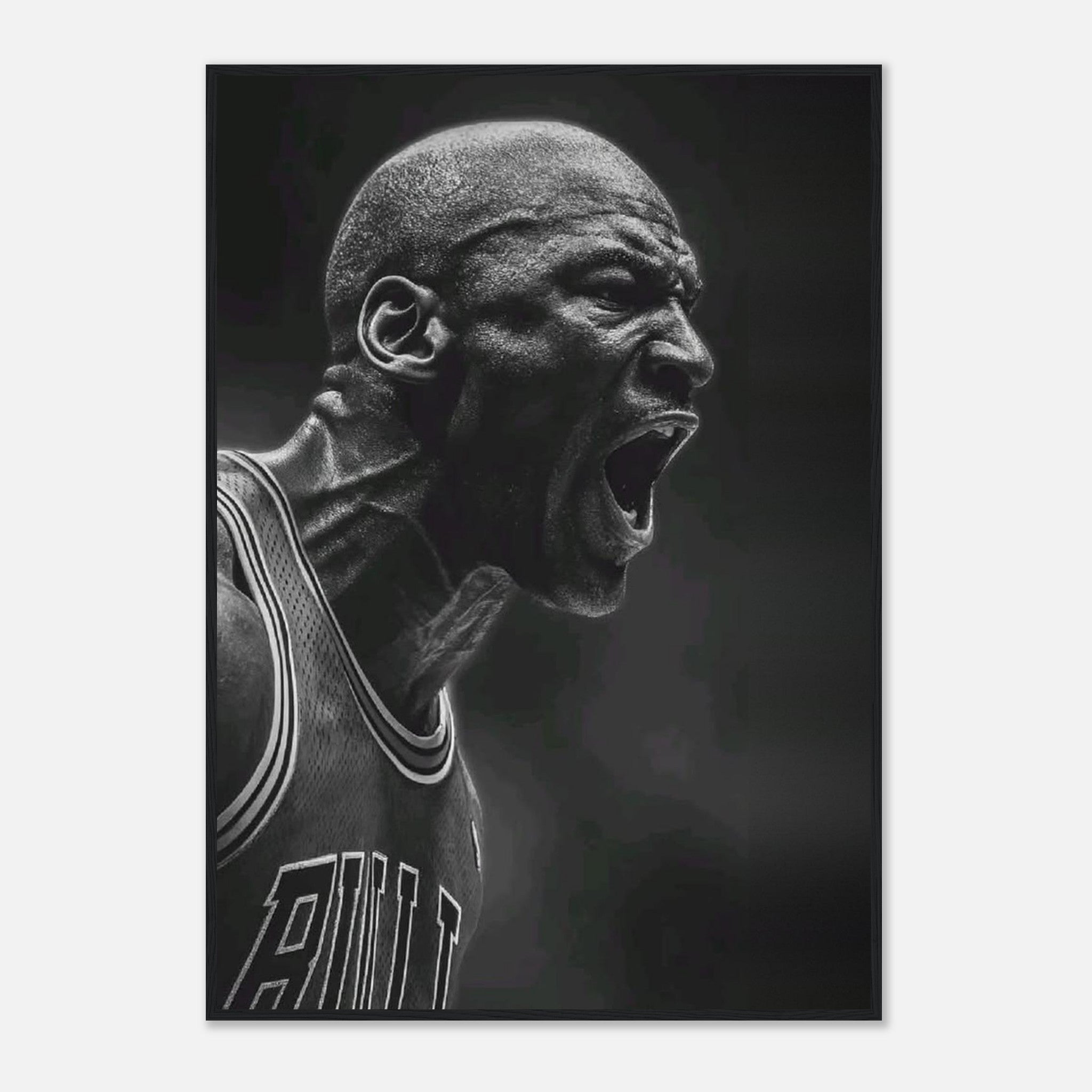 Michael Jordan Chicago Bulls