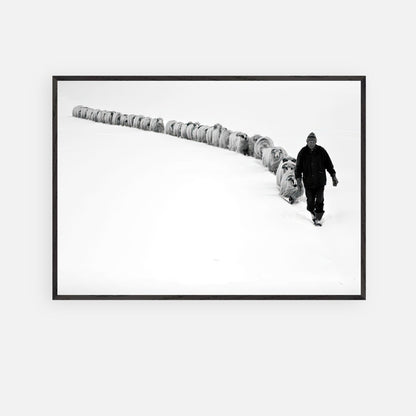 A shepherd walking through a snowy landscape, guiding a flock of sheep in a striking black-and-white fine art print.