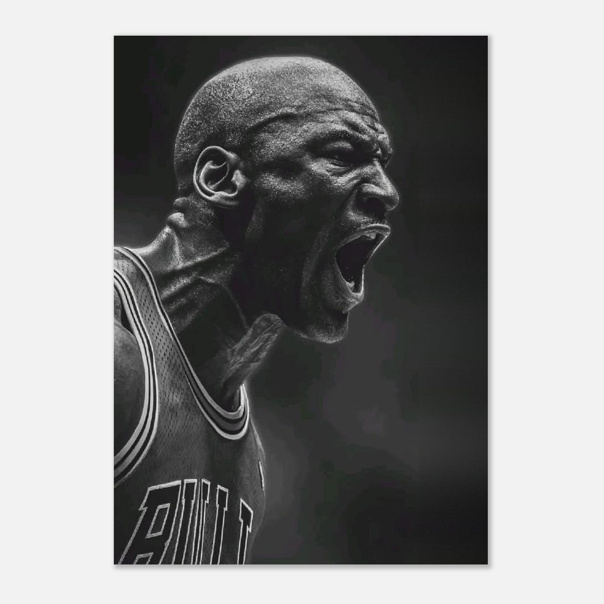 Michael Jordan Chicago Bulls
